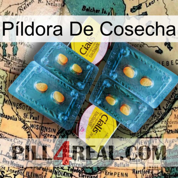 Píldora De Cosecha cialis5.jpg